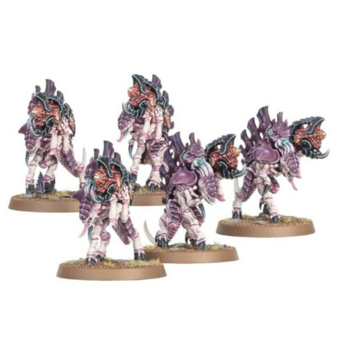 99120106062-99120106062_1