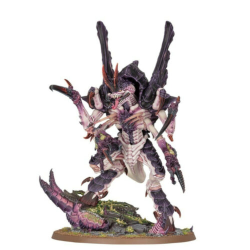 99120106064-99120106064_1