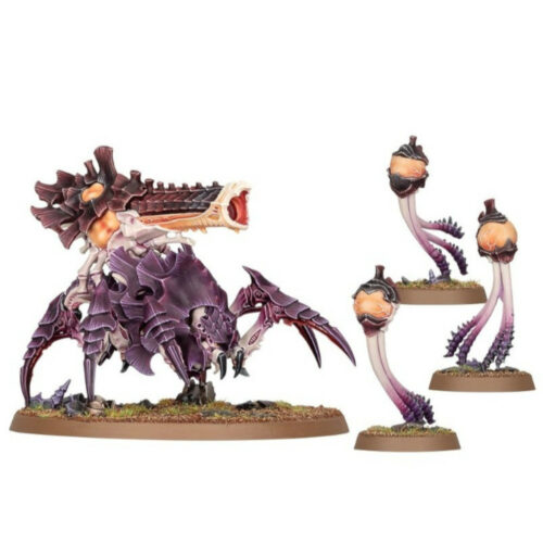 99120106065-99120106065_1