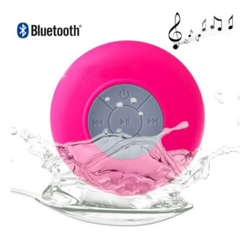 ENCEINTEETANCHEVENTOUSEROSE